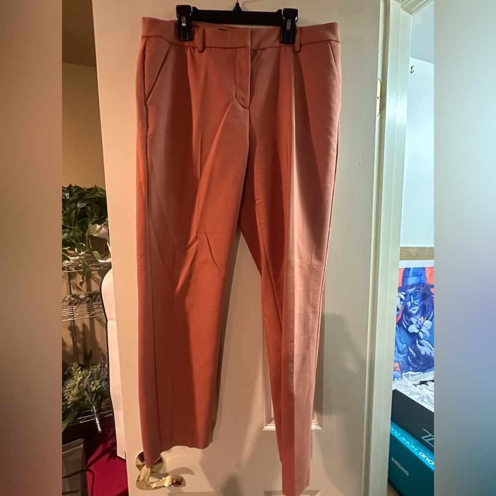 Express Columnist 10 R ankle pink work pant
